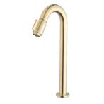 Toiletkraan XL BWS Cemal 1/2 Geborsteld Messing, Ophalen of Verzenden, Nieuw, Kraan