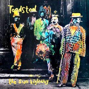 cd - Toadstool  - The Sun Highway, Cd's en Dvd's, Cd's | Overige Cd's, Zo goed als nieuw, Verzenden