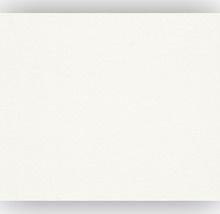 Rasch Profivlies - Renovlies 116601 50 x 1 meter 150 gram, Doe-het-zelf en Verbouw, Verf, Beits en Lak, Nieuw, Ophalen of Verzenden