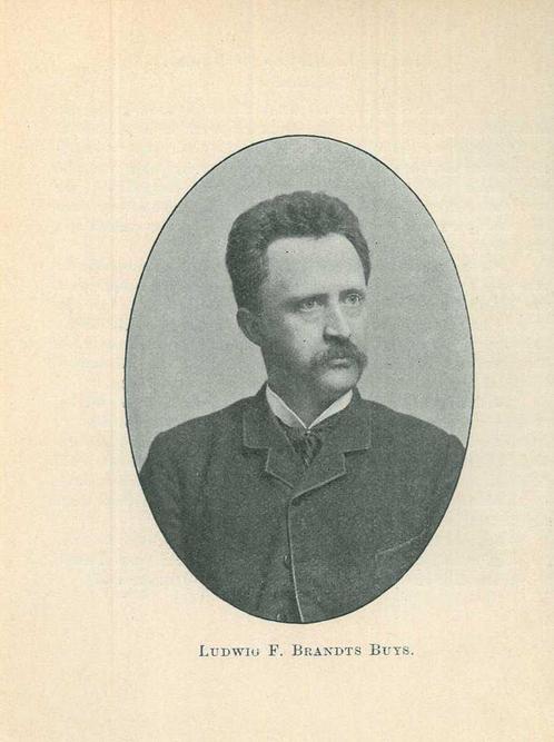 Portrait of Ludwig Felix Willem Cornelis Brandts Buijs, Antiek en Kunst, Kunst | Etsen en Gravures