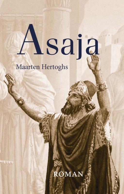 Asaja 9789087181178 Maarten Hertoghs, Boeken, Historische romans, Gelezen, Verzenden