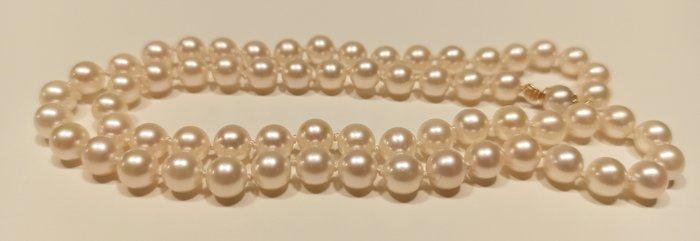 Kralensnoer - 18 karaat Geel goud Parel, Sieraden, Tassen en Uiterlijk, Antieke sieraden