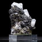 Hexagonale calciet op pyriet – zeldzame formatie - Hoogte: