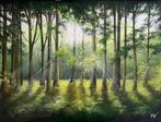 Patrycja Wachecka - My woods