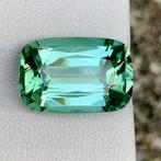 1 pcs Blauw, Groen Toermalijn - 9.57 ct - nternational, Nieuw