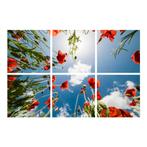 Klaprozen plafond | Fotoprint | verdeeld over 6 panelen, Ophalen of Verzenden, Nieuw in verpakking, Verlichting