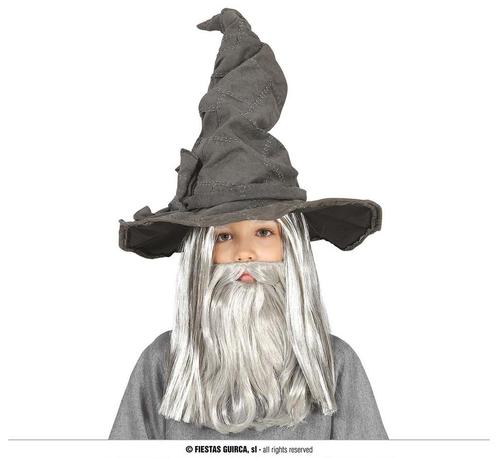 Tovenaarshoed Gandalf Grijs, Kleding | Dames, Carnavalskleding en Feestkleding, Nieuw, Ophalen of Verzenden