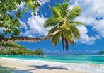 Tropical Beach fotobehang, Huis en Inrichting, Tropisch strand, Verzenden