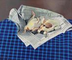 Frans Clement (1941) - Stilleven met haantjes op een krant, Antiek en Kunst