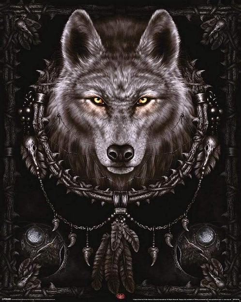 Poster Spiral Wolf Dreams 40x50cm, Verzamelen, Posters, Nieuw, A1 t/m A3, Verzenden