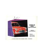 1961 FORD ANGLIA 250 BESTELWAGEN BROCHURE NEDERLANDS, Boeken, Auto's | Folders en Tijdschriften, Nieuw, Ford, Author