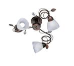 Plafondlamp Trio Traditio 600700328