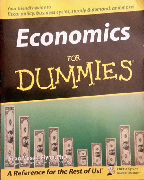Economics For Dummies 9780764557262 Sean Flynn, Boeken, Overige Boeken, Gelezen, Verzenden