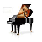 Schimmel Konzert K175 T WP messing vleugel, Nieuw