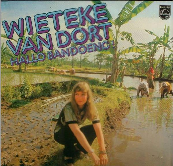 LP gebruikt - Wieteke van Dort - Hallo Bandoeng!, Cd's en Dvd's, Vinyl | Nederlandstalig, Zo goed als nieuw, Verzenden