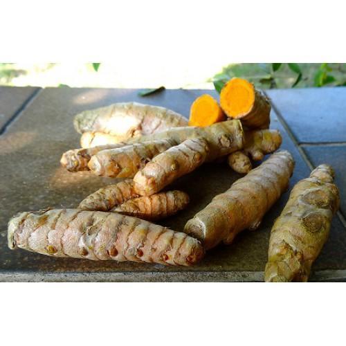 Kurkuma (met Curcumin C3 Complex) - 100 Gummies (snoepjes), Sport en Fitness, Gezondheidsproducten en Wellness, Poeder of Drank