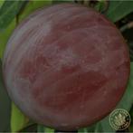 Rozekwarts Fijn gepolijste kwaliteit rozenkwarts bol -