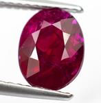 Zonder Minimumprijs Robijn - 2.00 ct - Lotus Gemology -, Nieuw