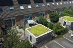 Een groen dak | duurzaam wonen | Centraal Beheer