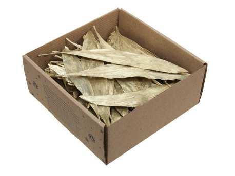 Eucalyptusbladeren eucalyptusblaadjes goud doosje 100 gr –, Huis en Inrichting, Woonaccessoires | Kunstplanten en Kunstbloemen