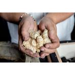 Samba aanmaakwokkels en aanmaakkrullen 2 kilo (ca 160 stu..., Ophalen of Verzenden, Nieuw