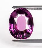 Zonder minimumprijs Spinel - 2.55 ct - Antwerp Laboratory, Nieuw