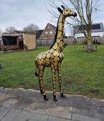 Beeld, XXL Giraffe - 204.5 cm - Hars, Antiek en Kunst, Curiosa en Brocante