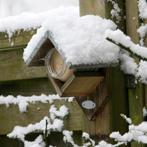 Pindakaashuisje voor vogels | Voederhuisje voor pindakaas, Verzenden, Nieuw