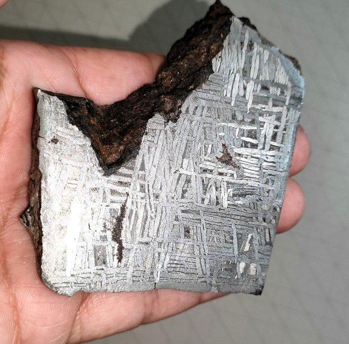 Meteoriet Aletai Ijzer IIIE-an Geëtst onderdeel snede - 410, Verzamelen, Mineralen en Fossielen