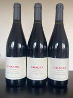 2017 Bodega Chacra Cincuenta y Cinco 55 Pinot Noir -, Nieuw