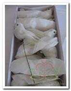 Witte vogeltjes +/- 11 cm. / doosje 12 stuks vogeltje, Ophalen of Verzenden, Nieuw
