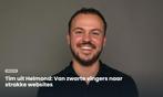 10% Korting WordPress, SEO Optimalisatie, Dropshipping, Webdesign