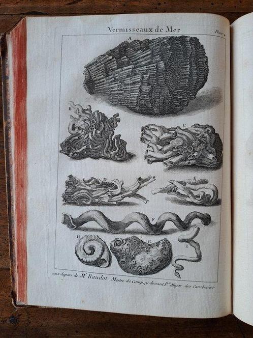 Antoine Joseph Dezallier de Argenville - Lhistoire, Antiek en Kunst, Antiek | Boeken en Bijbels