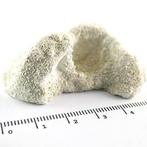 Achilles Aragonite Frag Rocks 10 stuks, Dieren en Toebehoren, Ophalen of Verzenden, Nieuw