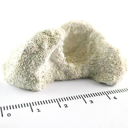 Achilles Aragonite Frag Rocks 10 stuks, Dieren en Toebehoren, Vissen | Aquaria en Toebehoren, Ophalen of Verzenden