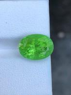 1 pcs Geel, Groen Paraiba toermalijn - 4.79 ct -, Sieraden, Tassen en Uiterlijk, Edelstenen, Nieuw