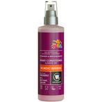 Urtekram Conditioner Spray Noordse Bes 250 ml, Sieraden, Tassen en Uiterlijk, Uiterlijk | Haarverzorging, Nieuw, Verzenden
