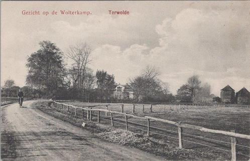 TERWOLDE - Gezicht op de Wolterkamp, Verzamelen, Ansichtkaarten | Nederland, Verzenden