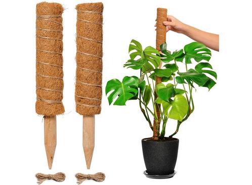 FEDEC Mosstok voor planten - Plantenstok - 30cm tot 50cm - 2, Tuin en Terras, Bloembakken en Plantenbakken, Nieuw, Verzenden