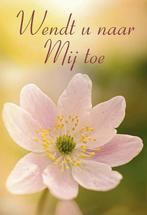 Wendt u naar Mij toe 9789402907117 Mccheyne, Boeken, Verzenden, Zo goed als nieuw, Mccheyne