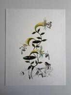 Salvador Dali (1904-1989) - Flordali