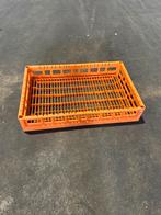 kratten 60x40x10 cm geperforeerd voedselgeschikt stapelkrat, Gebruikt, 40 tot 60 cm, 50 tot 75 cm, Minder dan 35 cm