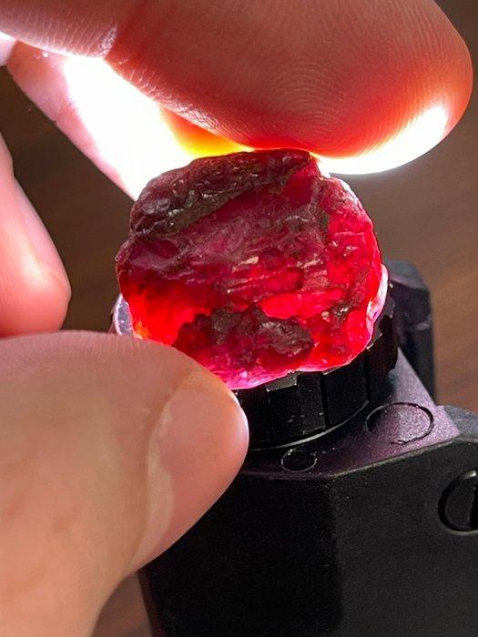 Robijn Ruw. Geweldige Mozambique Ruby. “Gemmy” “Gratis, Verzamelen, Mineralen en Fossielen