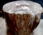 Bijzettafel - versteend hout - bijzettafel, Verzamelen, Nieuw