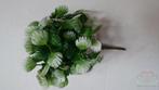 Palm pick corsagevuller groen -wit bundel 6 stuks, Ophalen of Verzenden, Nieuw