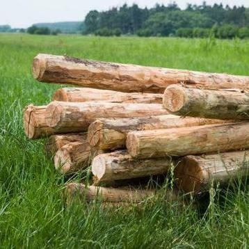 Kastanjehout Robinia paal 300cm ø20-25cm rond gepunt beschikbaar voor biedingen