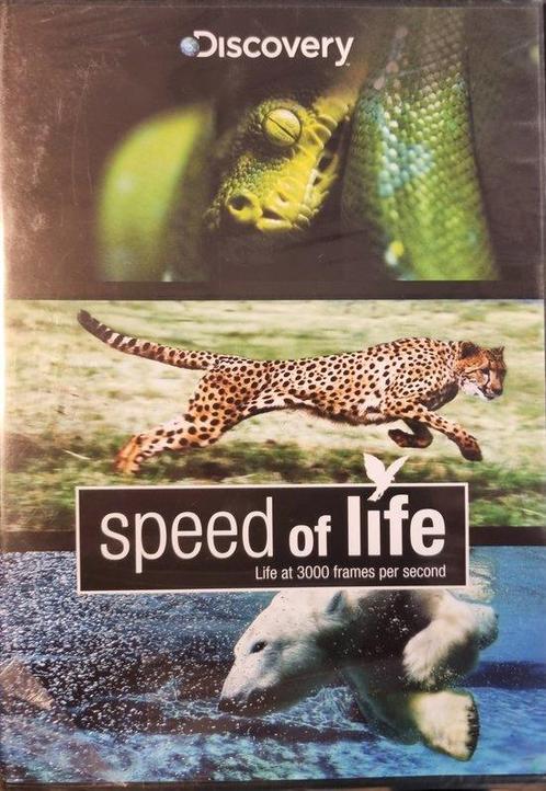 Speed of life (dvd tweedehands film), Cd's en Dvd's, Dvd's | Actie, Zo goed als nieuw, Ophalen of Verzenden