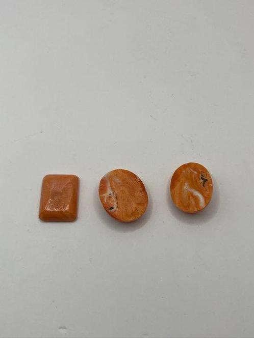 Koraal Koraal - Corallo (Zonder Minimumprijs), Verzamelen, Dierenverzamelingen