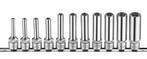3/8 Doppenset Torx lang 11 delig, Auto diversen, Autogereedschap, Verzenden, Nieuw