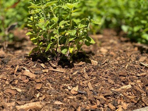 Houtmulch - 1980 Liter, Tuin en Terras, Tuinwanddecoratie, Verzenden